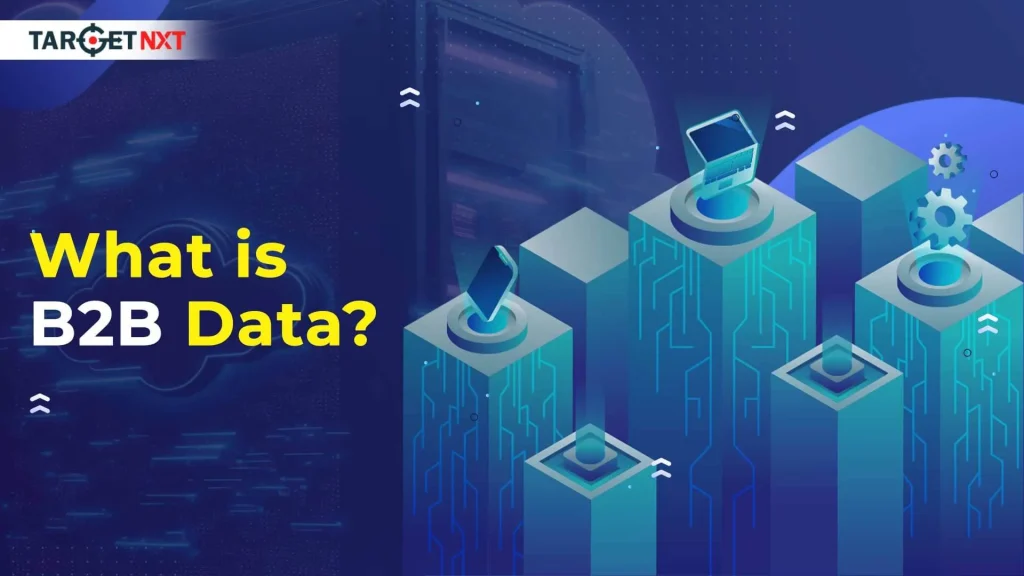 What is B2B Data